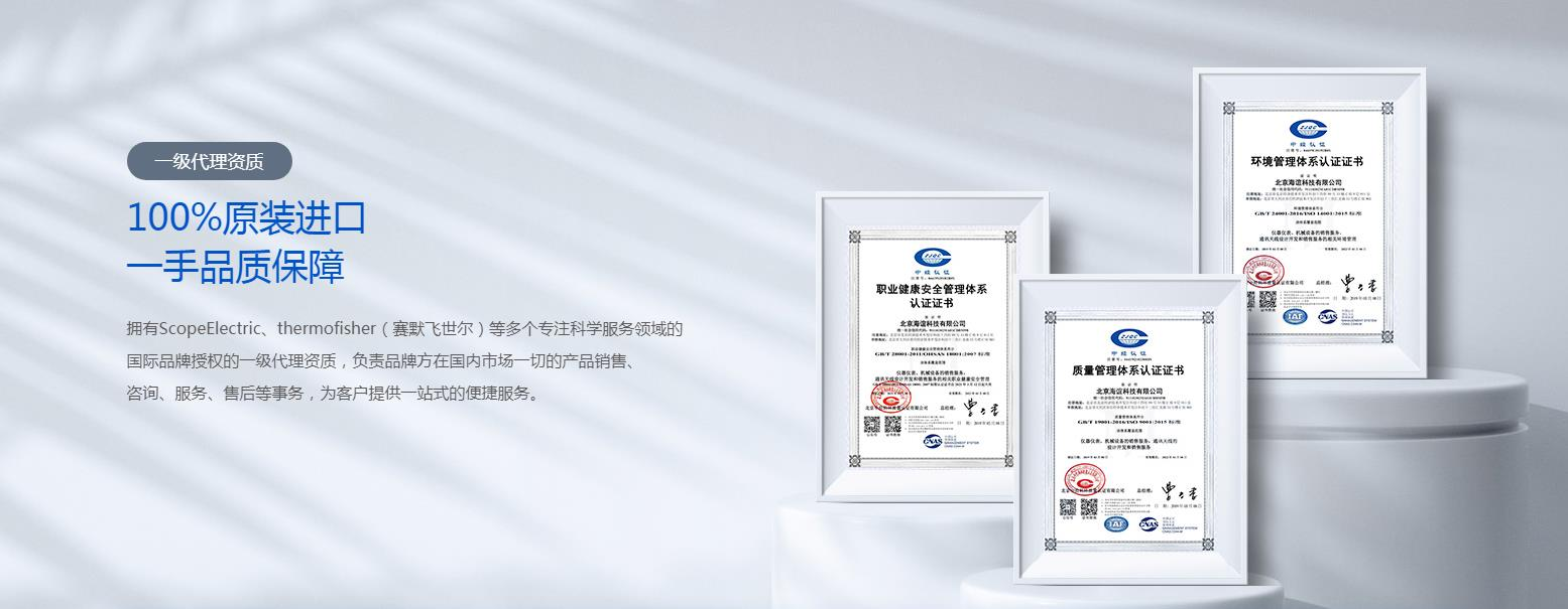 公司優(yōu)勢：技術(shù)領(lǐng)先與專業(yè)服務(wù)并重